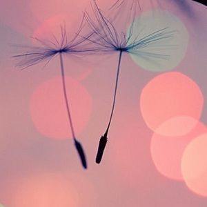 Meet your Posher, Fitore